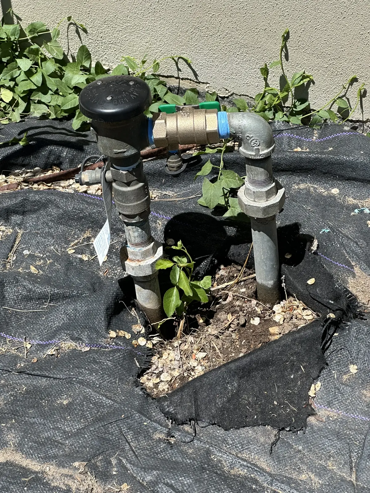New spigot with weed barrier