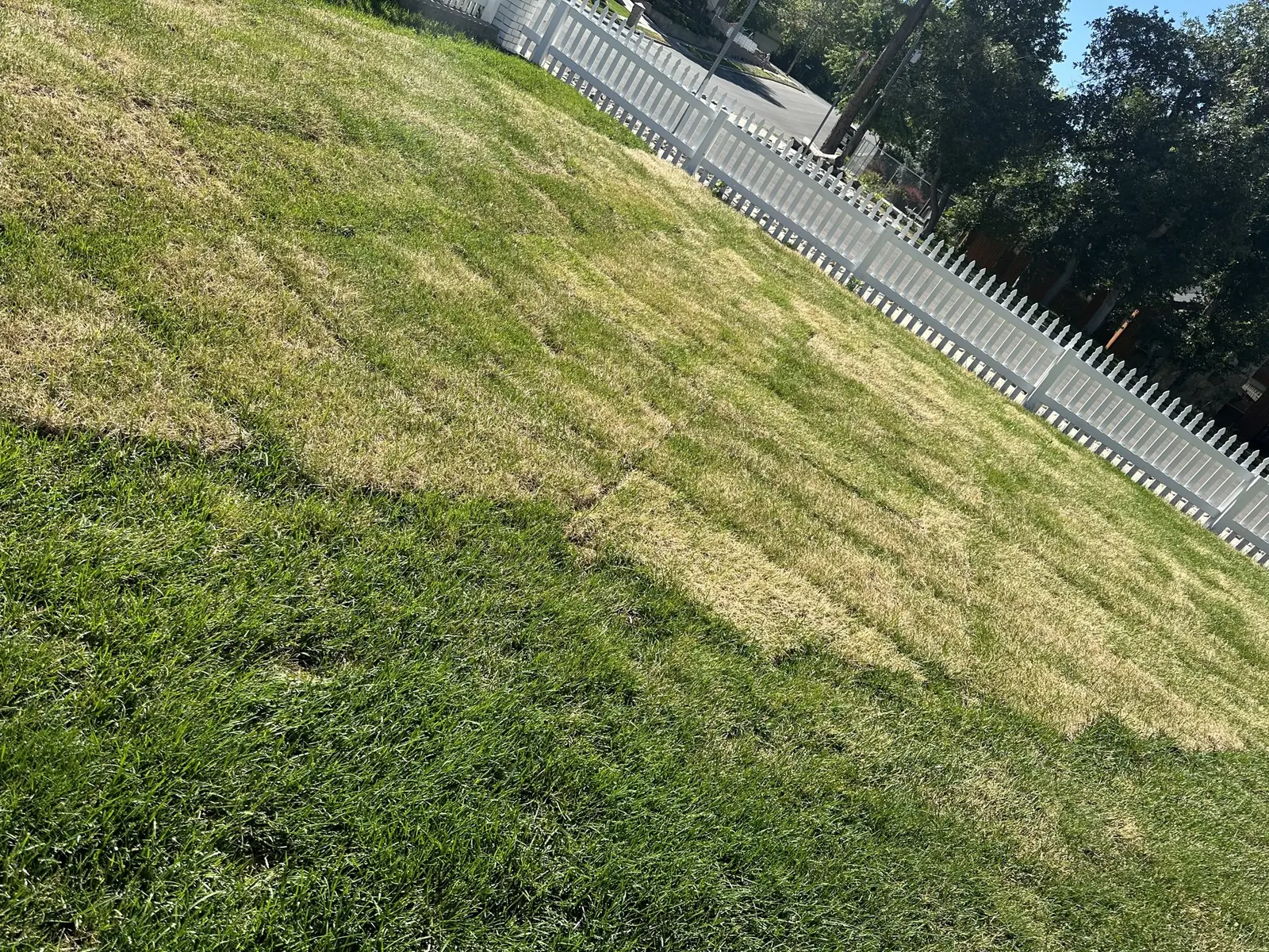 Backyard refresh