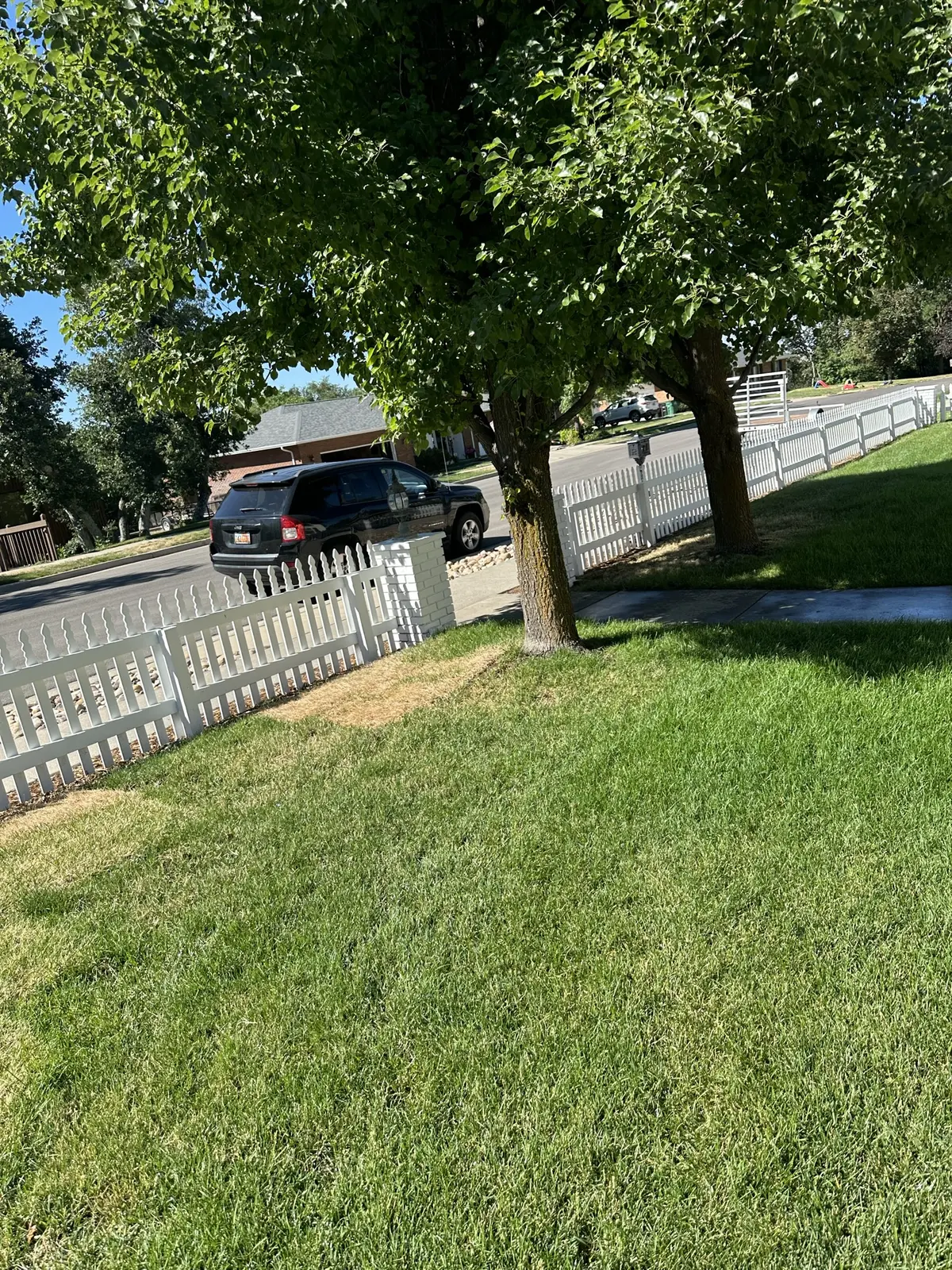 Side yard cleanup