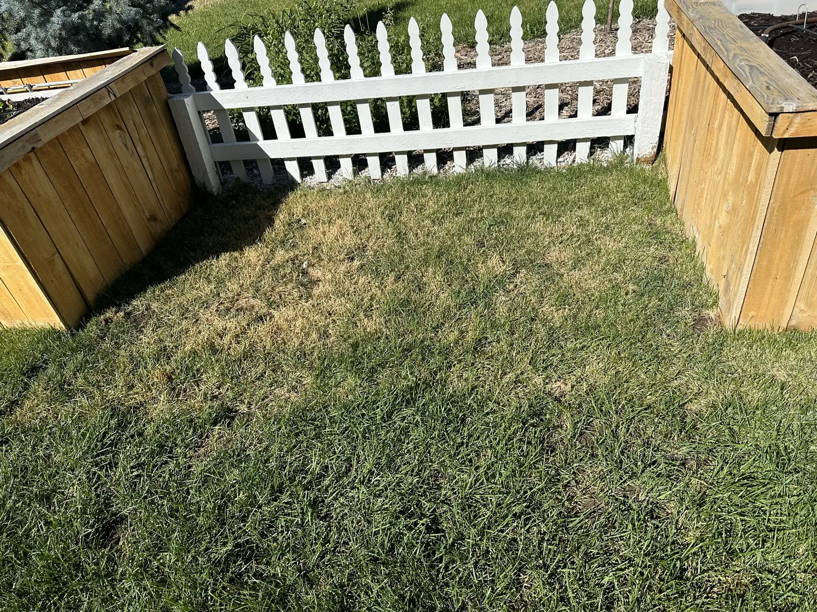 Fenced backyard