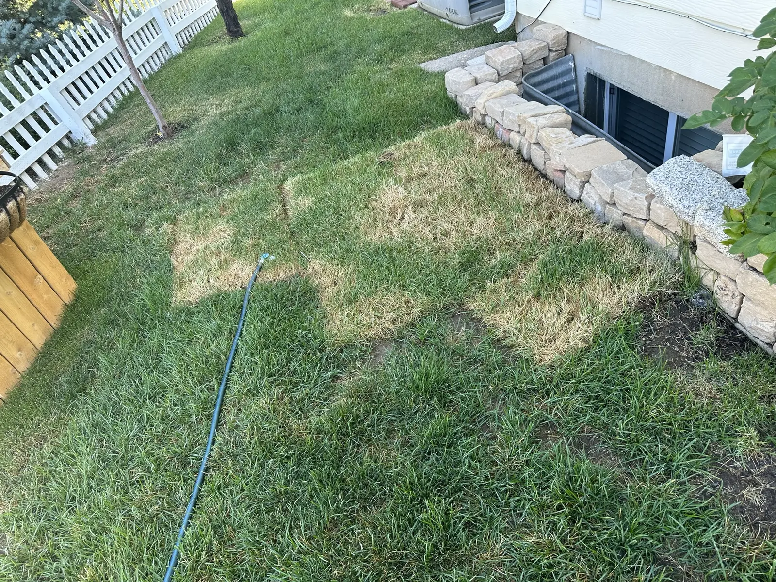 Yard near fence line