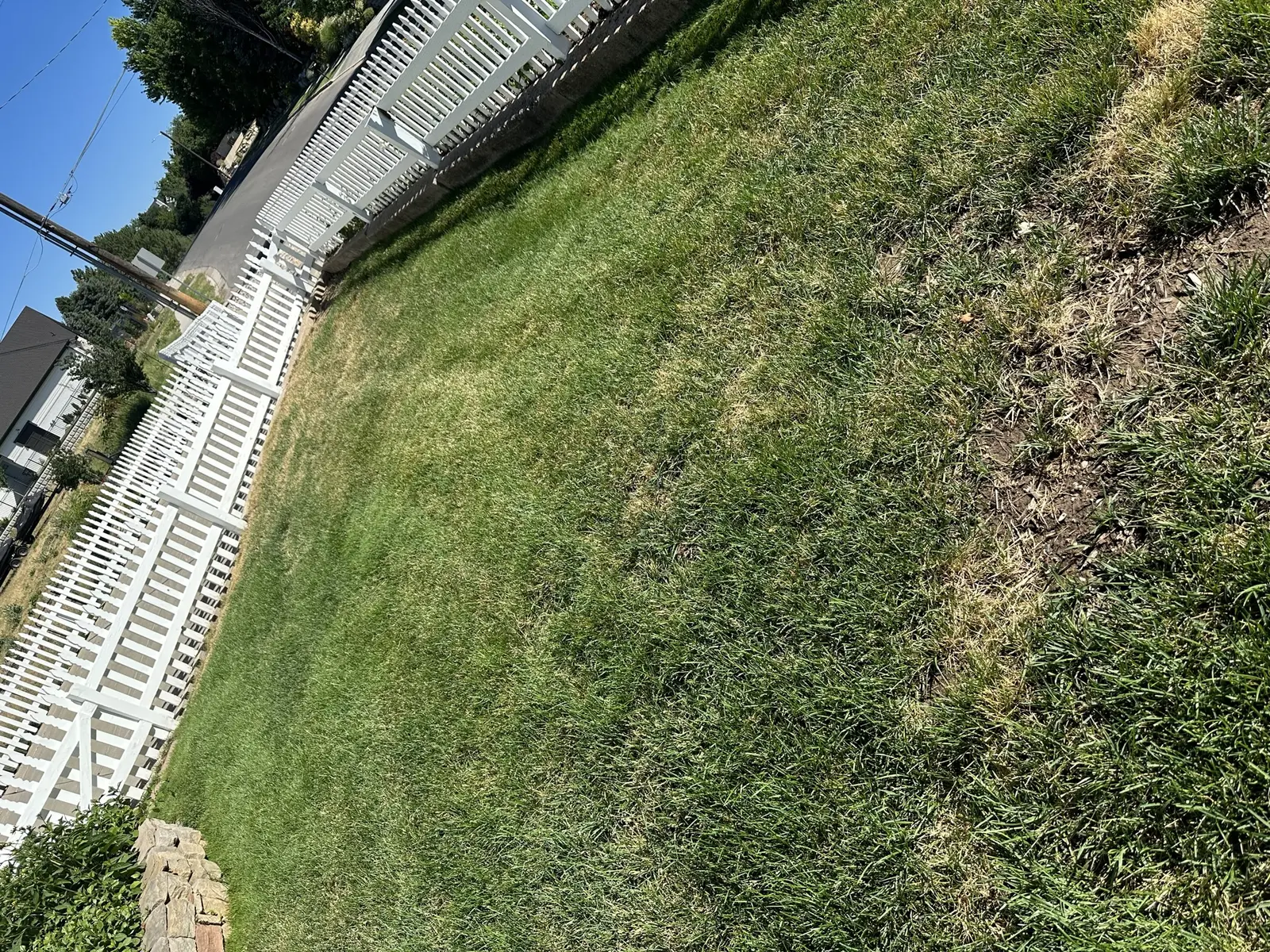 Grass and fence detail