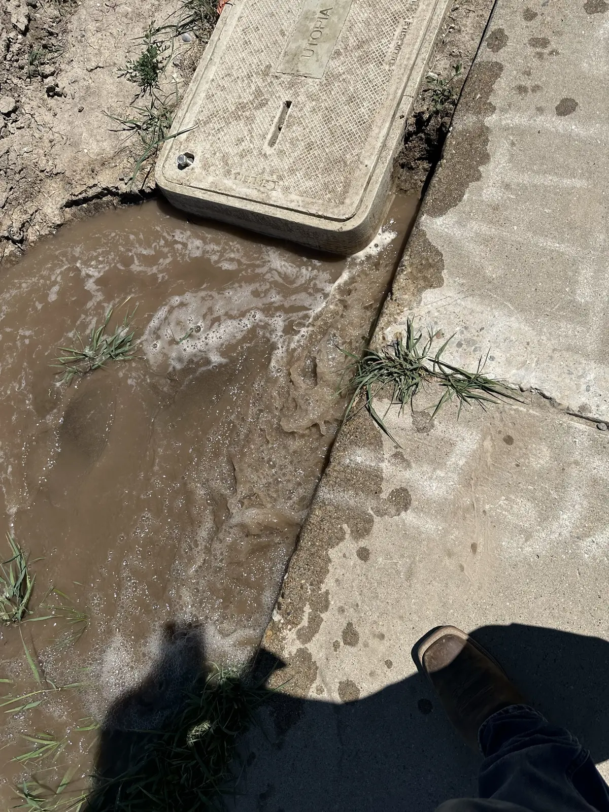 Leak trace along sidewalk