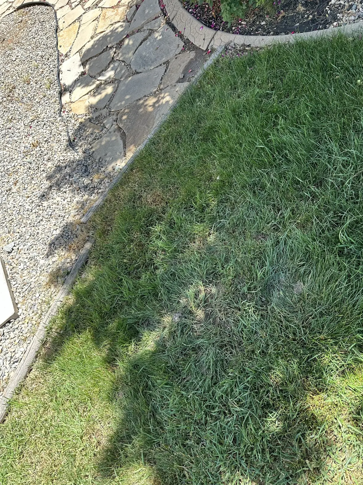 Paver edge detail