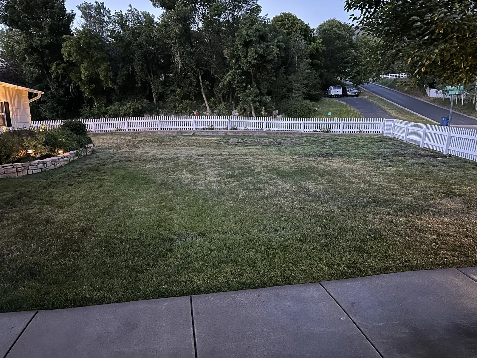 Backyard at dusk