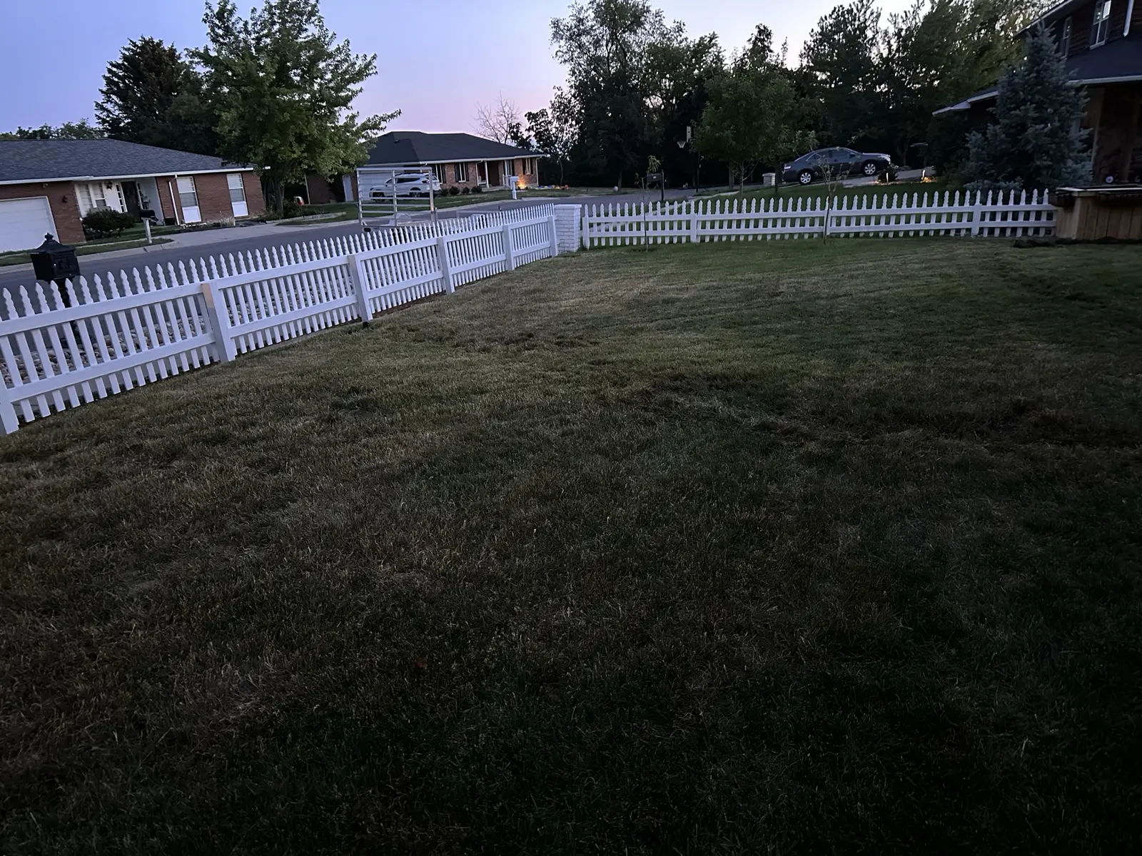 Grassy yard with fence