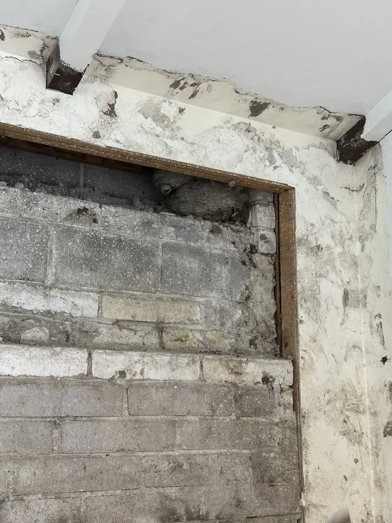 Opening up a wall